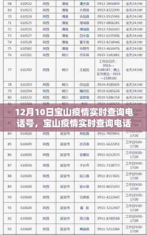 宝山疫情实时查询电话指南，从初学者到进阶用户的全面指南（12月10日查询电话号码）