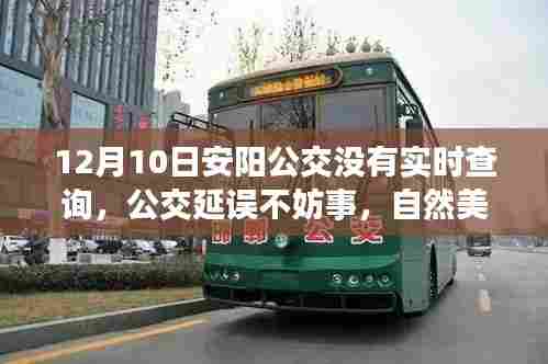 远离尘嚣的心灵之旅，自然美景呼唤，公交延误不妨事，安阳公交美景一览