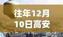 飞蛾扑火 第3页