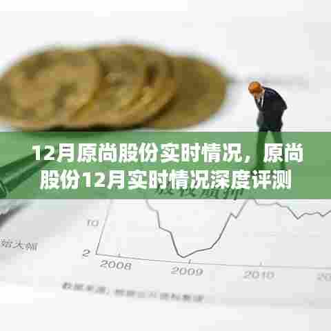原尚股份12月实时情况深度解析与评测报告