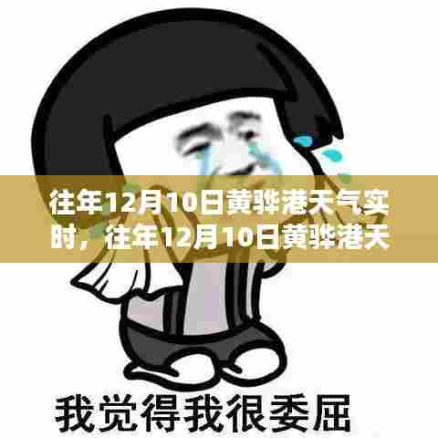 往年12月10日黄骅港天气深度测评与实时介绍