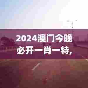 2024澳门今晚必开一肖一特,经济性方案解析_Ultra7.788