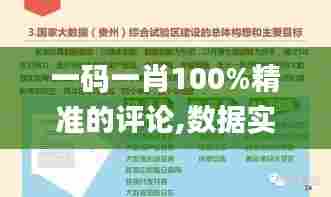 一码一肖100%精准的评论,数据实施导向策略_体验版10.298
