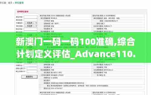 新澳门一码一码100准确,综合计划定义评估_Advance110.586