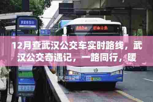 武汉公交暖心相伴，实时路线查询与公交奇遇记