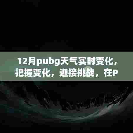 Pubg冬季实时天气变化挑战，把握机遇，展现自信与成就