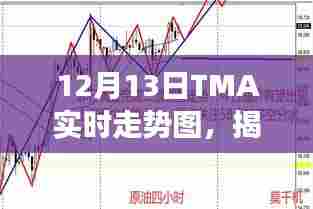 揭秘，12月13日TMA实时走势图，洞悉金融市场动态