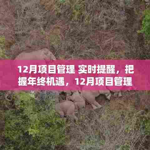 年终机遇，把握12月项目管理的魔力时刻，实时提醒之旅