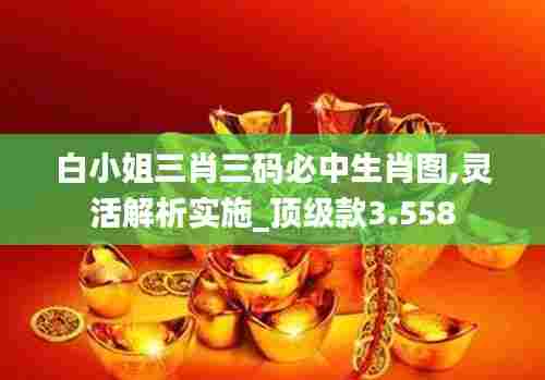 白小姐三肖三码必中生肖图,灵活解析实施_顶级款3.558