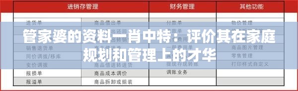 张皇铺饰 第4页