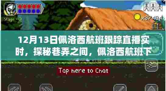 佩洛西航班下的独特小店直播之旅揭秘，实时跟踪与巷弄探秘直播报道