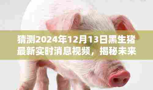 揭秘预测，2024年黑生猪行业最新动态与未来趋势视频报道。