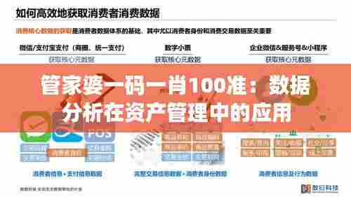管家婆一码一肖100准：数据分析在资产管理中的应用