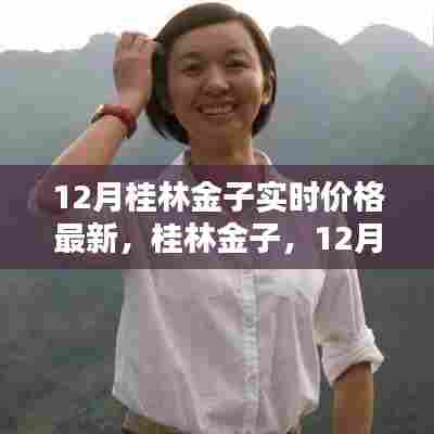 桂林金子最新实时价格深度解析,探寻桂林金子市场趋势与动态
