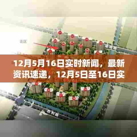 12月5日至16日新闻速递，最新资讯回顾与解读
