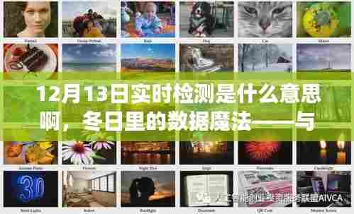 冬日数据魔法，实时检测下的奇遇记——解读12月13日实时检测的意义
