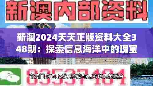 新澳2024天天正版资料大全348期:探索信息海洋中的瑰宝