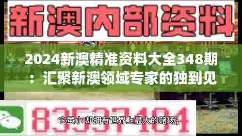 2024新澳精准资料大全348期：汇聚新澳领域专家的独到见解