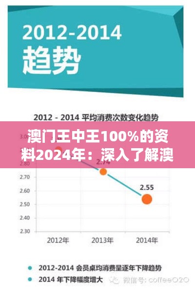 澳门王中王100%的资料2024年:深入了解澳门博彩业的经营策略