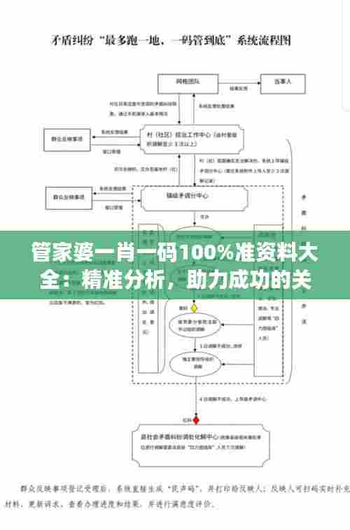 管家婆一肖一码100%准资料大全：精准分析，助力成功的关键