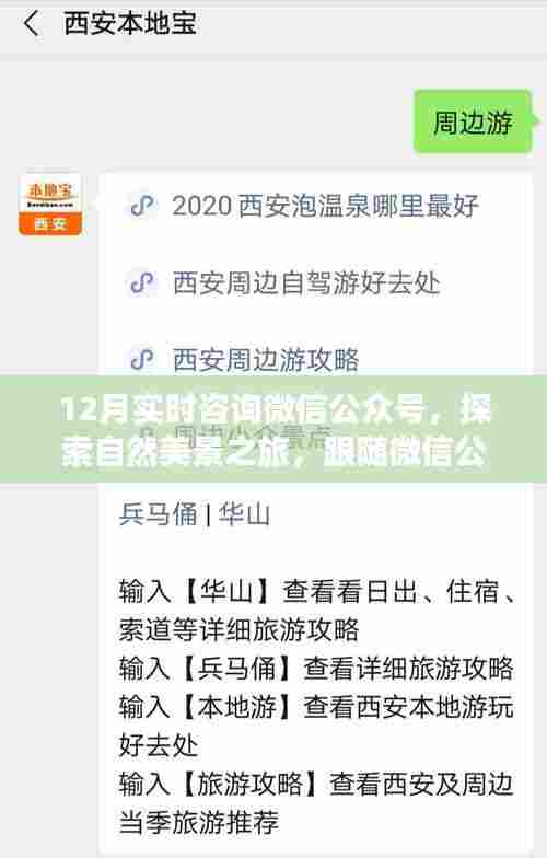 微信公众号带你探索自然美景之旅，跟随启程，寻找内心的宁静与平和（十二月实时咨询）