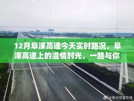 民贵君轻 第3页