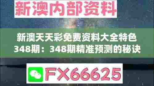 新澳天天彩免费资料大全特色348期：348期精准预测的秘诀