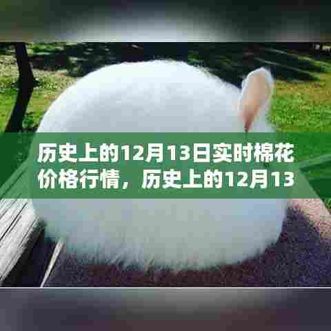 揭秘历史12月13日棉花价格行情，入门指南与实时操作技巧详解