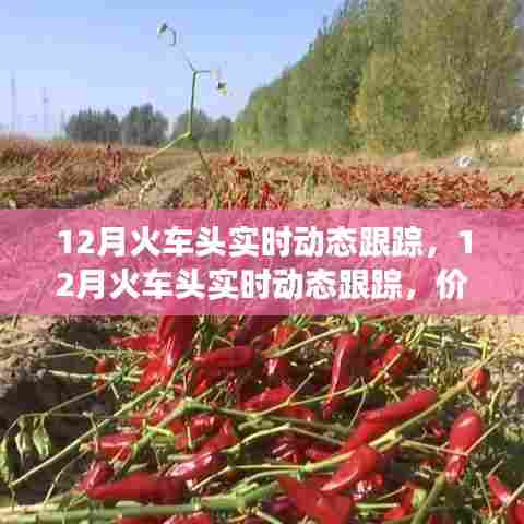 12月火车头实时动态跟踪，价值与争议的焦点
