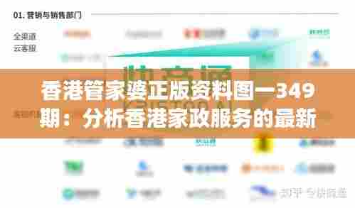 香港管家婆正版资料图一349期：分析香港家政服务的最新变化