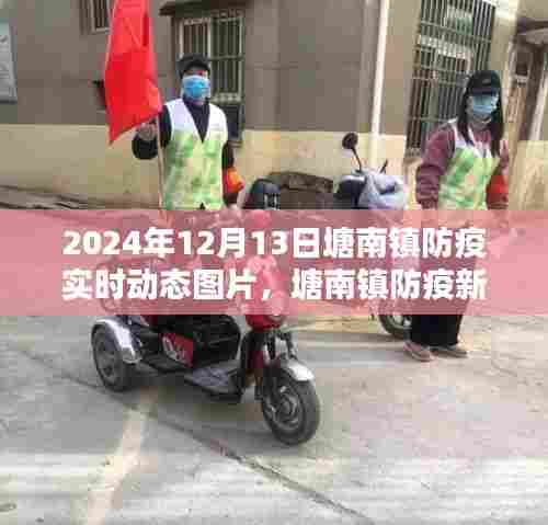塘南镇防疫新篇章，小巷风情与实时动态图片报告