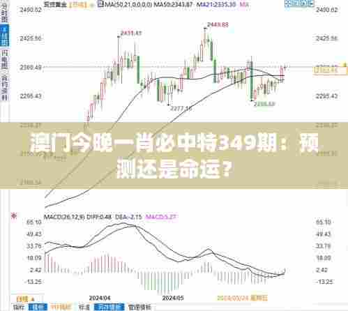 澳门今晚一肖必中特349期：预测还是命运？