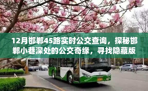探秘邯郸小巷深处的公交奇缘,寻找隐藏版特色小店与公交实时查询指南(邯郸45路)
