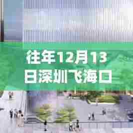 透视往年深圳飞往海口航班动态，航班实时分析与个人观点分享