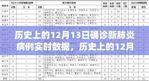 历史上的12月13日新冠肺炎确诊病例实时数据解析与报告