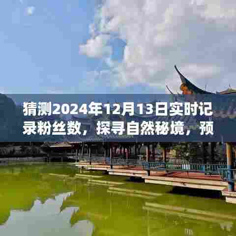 粉丝数猜想与探寻自然秘境，预测之旅与心灵成长的奇妙历程（2024年粉丝数展望）