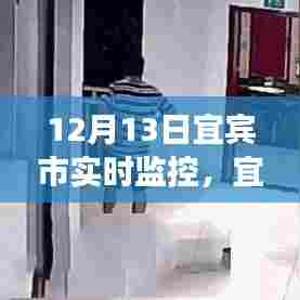 宜宾市实时监控系统深度观察，宜宾市12月13日实时监控数据解析