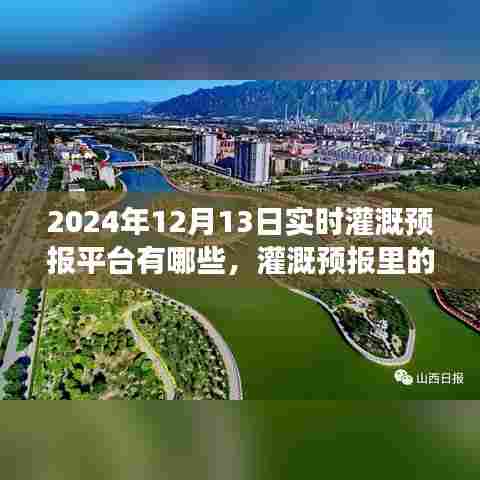2024年灌溉智慧之旅，实时预报平台与温情时光的探索