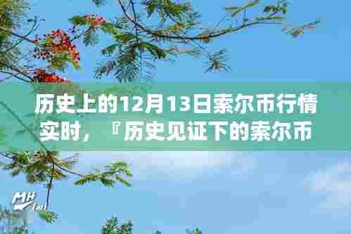 历史见证下的索尔币行情，前沿科技引领投资格局变革