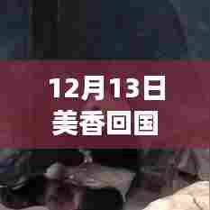 美香归国智能追踪启程，实时航班查询开启熊猫归国新纪元