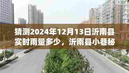 沂南县雨情探秘，小巷奇遇与特色小店惊喜，预测2024年12月13日实时雨量