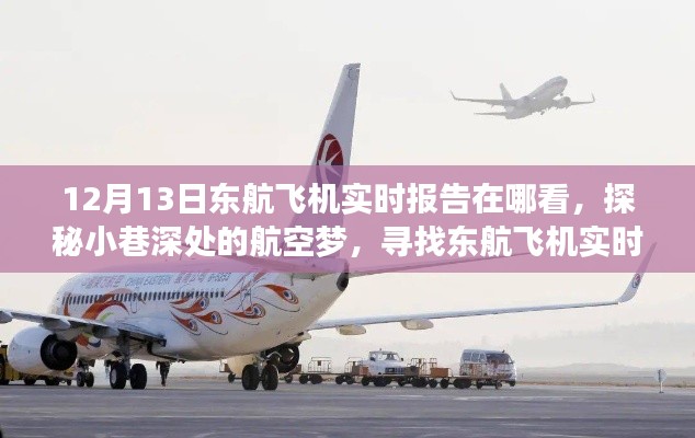 探秘小巷深处的航空梦,东航飞机实时报告揭秘之旅
