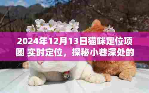 实时定位猫咪乐园,守护喵星人的时尚定位项圈,探索小巷深处的猫咪世界