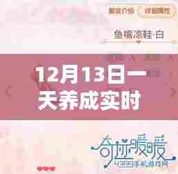 实用步骤指南,新手与进阶用户都能在12月13日掌握实时号养成技巧!