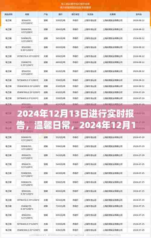 温馨日常，记录快乐时光——2024年12月13日的实时报告