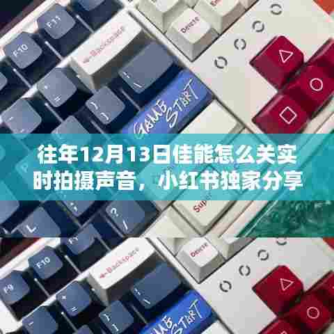 小红书独家揭秘，佳能相机关闭实时拍摄声音的方法与摄影技巧分享（往年12月13日）