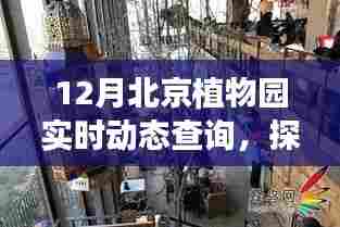 探秘北京植物园绿意秘境，实时动态下的惊喜小店与秘境探秘