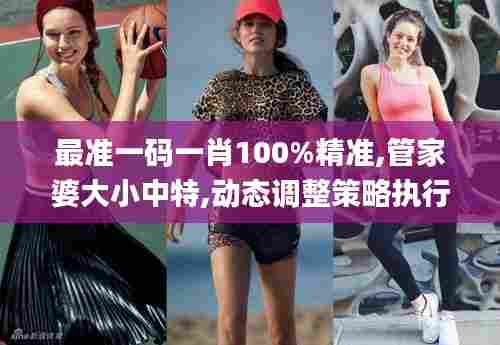 最准一码一肖100%精准,管家婆大小中特,动态调整策略执行_Advanced10.153