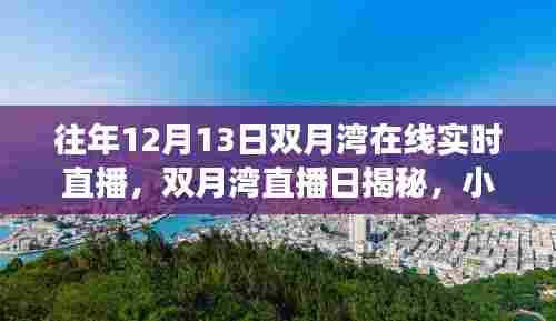 双月湾直播日，探寻小巷深处的独特风味与美食秘境揭秘之旅