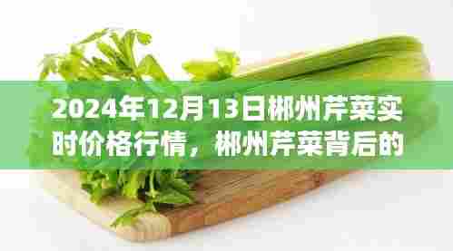 郴州芹菜背后的温情故事，日常中的不寻常与友情的温暖——2024年12月13日实时行情